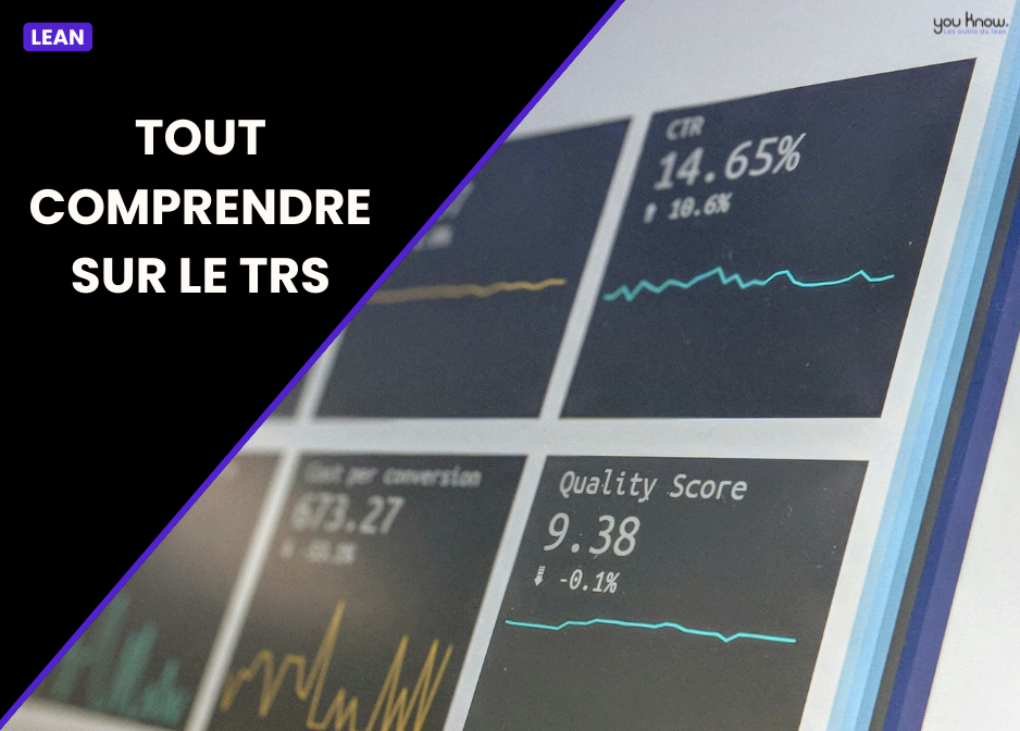 TRS (Taux de Rendement Synthétique) : Définition, exemples et calculs